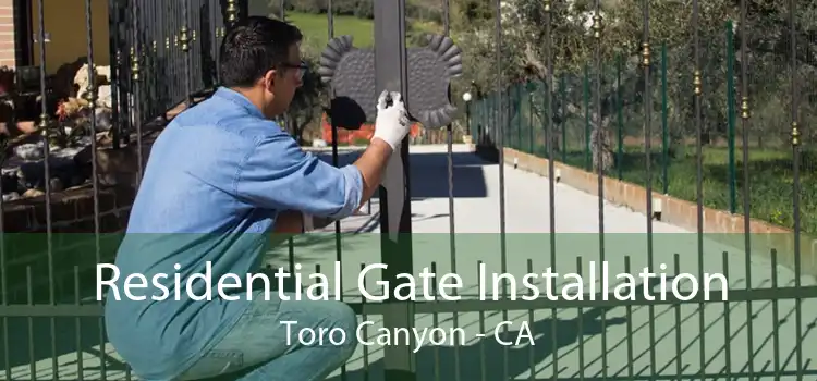 Residential Gate Installation Toro Canyon - CA