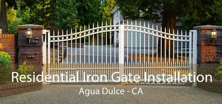 Residential Iron Gate Installation Agua Dulce - CA